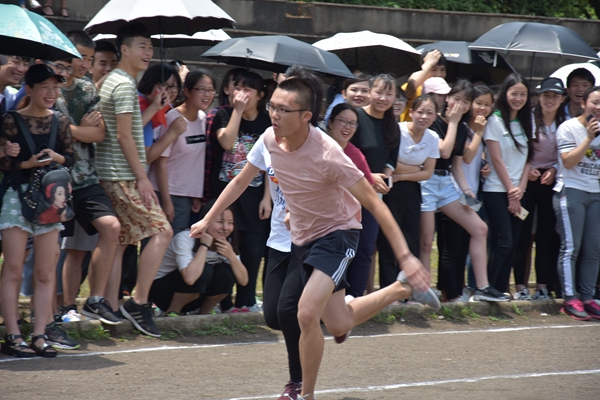 1495165905820510.jpg DSC_3882.JPG